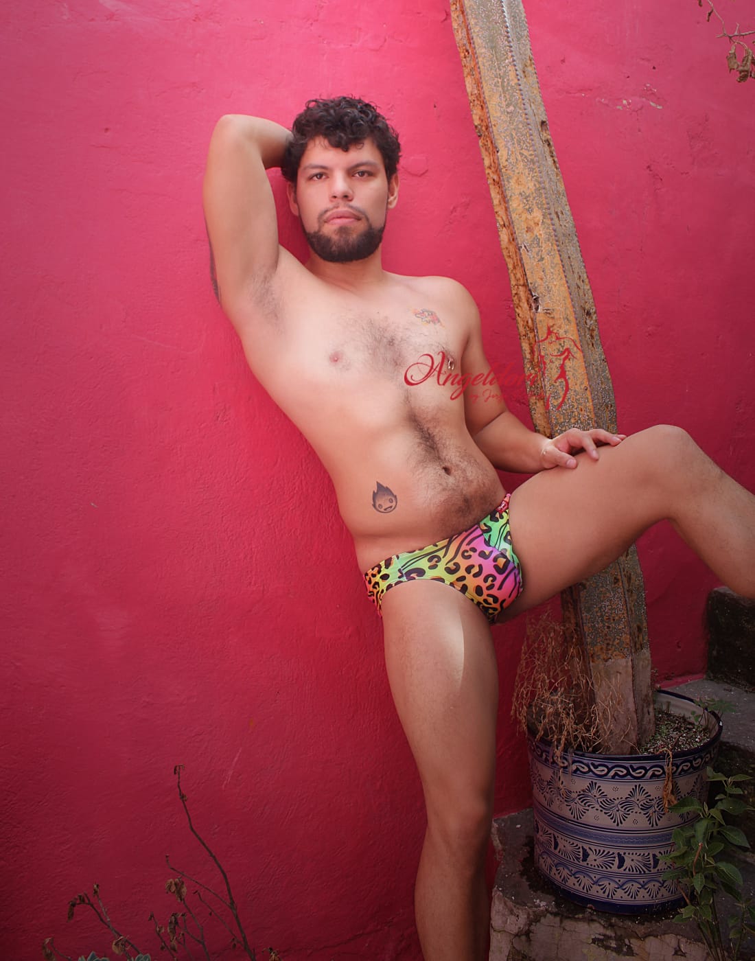 Bikini Animalprint Multicolor