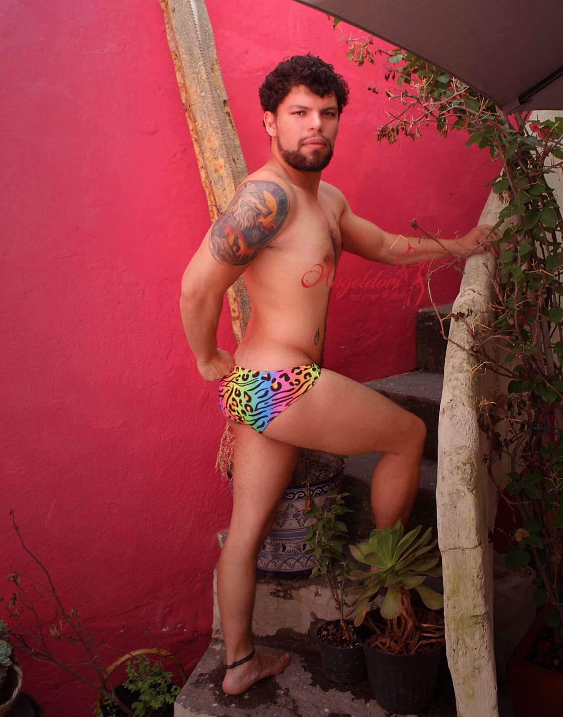 Bikini Animalprint Multicolor